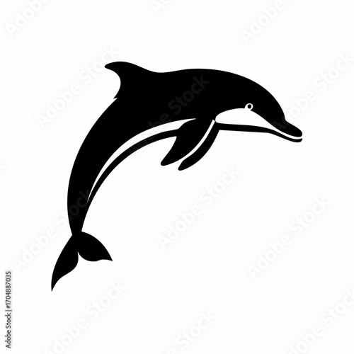 Vector illustration of dolphin jumping gracefully out of water
