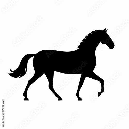 Vector illustration of horse walking forward in profile view
