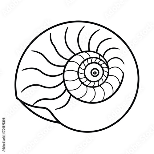 spiral fossil outline vector on white background