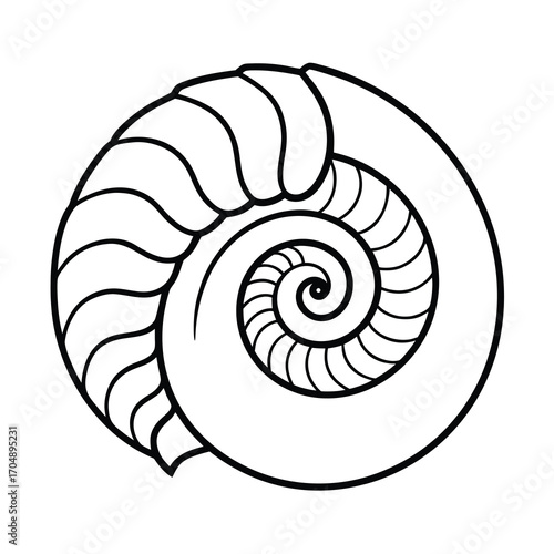 spiral fossil outline vector on white background