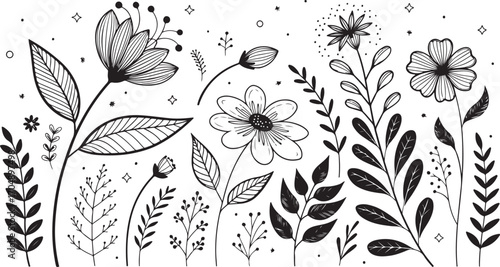 Whimsical hand-drawn botanical line art featuring diverse floral elements and delicate leaves for artistic design