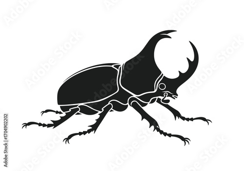 A powerful rhinoceros beetle with formidable horns stands alert on a white background.