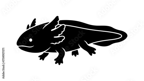 Axolotl amphibian with transparent background