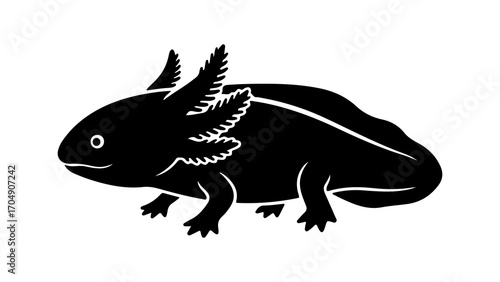 Axolotl amphibian with transparent background