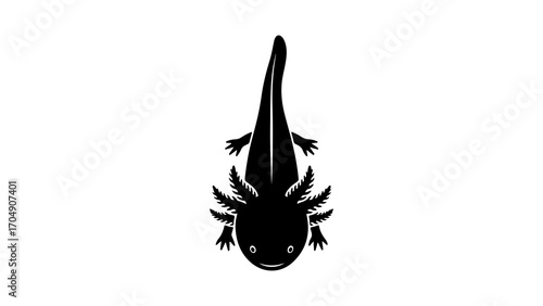Axolotl silhouette with transparent background