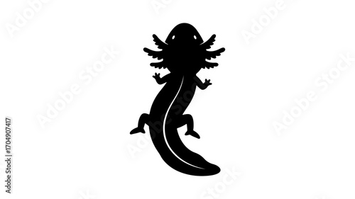 Axolotl silhouette with transparent background