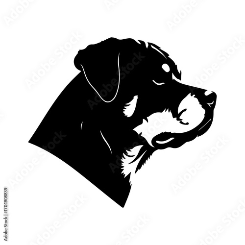 Bernese mountain dog head with transparent background