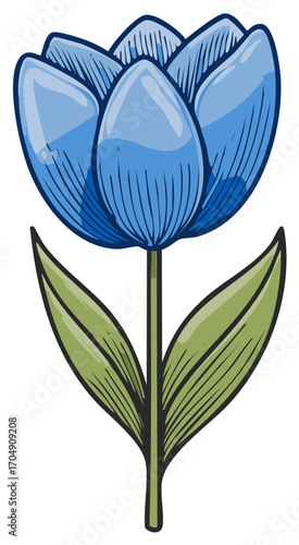 Blue tulip flower with green leaves and stem, hand-drawn style illustration