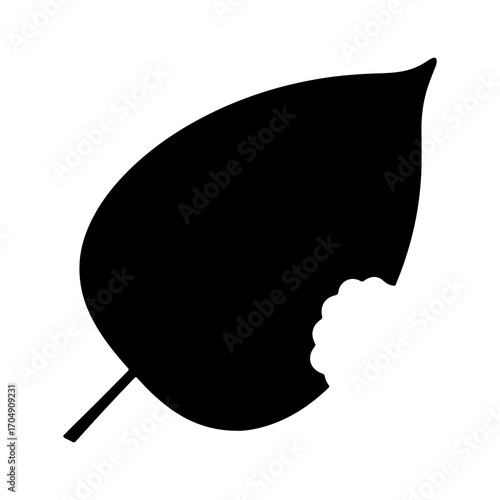 Bitten leaf with transparent background