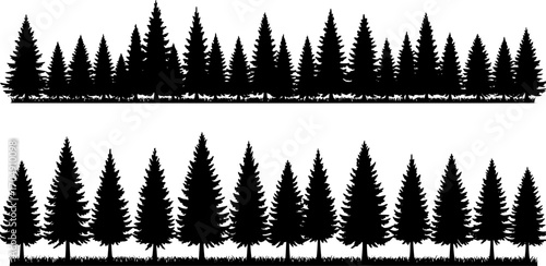 Panoramic silhouette of dense pine forest trees in navy blue minimalist flat vector style isolated on white background with grass ground line and varied evergreen conifers