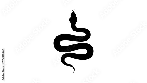 Black snake silhouette with transparent background