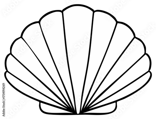 Elegant Seashell Outline Illustration Simple Black Line Art  Ocean Shell Shape