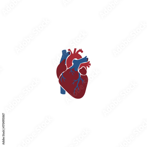 Minimalist flat vector icon of a human anatomical heart. A medical symbol for cardiology, cardiovascular health, and biology science, isolated on a white background