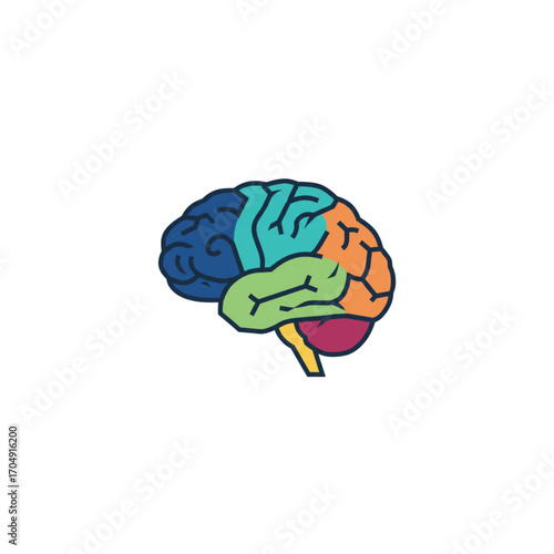 Colorful illustration of the human brain with distinct lobes, symbolizing intelligence, psychology, and creative thinking