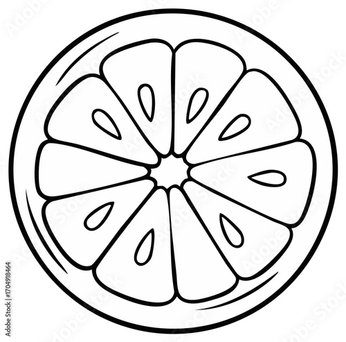 Monochrome line art drawing of a citrus fruit slice showing segments and seeds