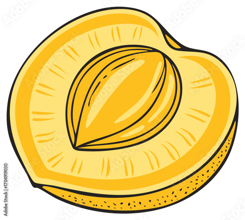 Half of a ripe apricot with a pit illustration