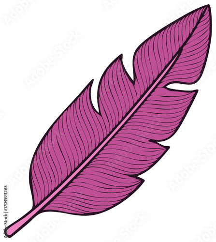 Illustration of a detailed pink feather with flowing lines and a delicate quill