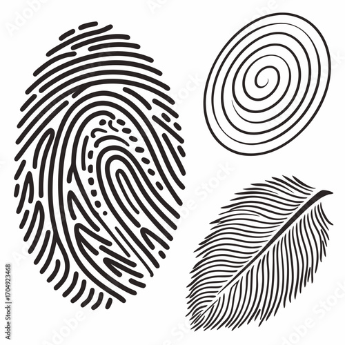 Vector art of collection of graphic elements including a fingerprint, a spiral, and a feather