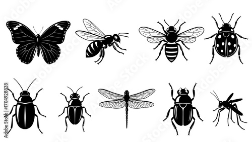 High-Quality Black Silhouette Icon Set of Insects – Bugs, Beetles, Flies, Nature, Vector Symbols