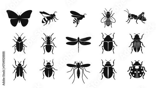 High-Quality Black Silhouette Icon Set of Bugs and Insects – Vector Nature Symbols