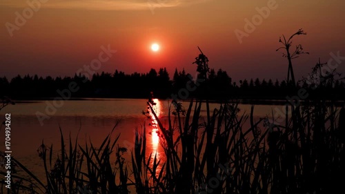 A video of a beautiful sunset at the lake, with golden reflections on the water and plants on the shore moving gently in the wind.