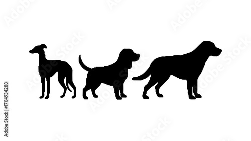 Dog silhouettes with transparent background