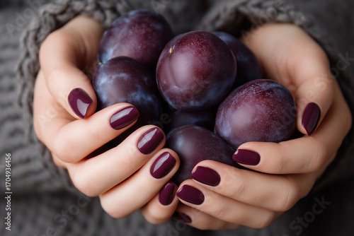 female hands with plum colored manicure holding a handful of ripe plums
