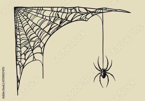 Elegant Gothic Spider Web Corner Decoration
