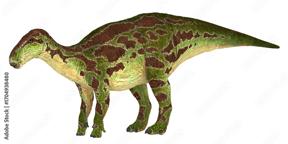 Obraz premium Illustration of a colorful prehistoric dinosaur.