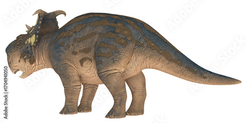 Photos Illustration of a prehistoric dinosaur with notable frills.