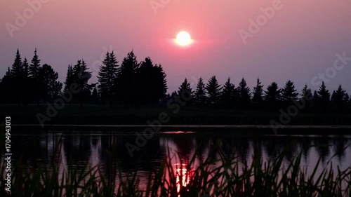 A video of a beautiful sunset at the lake, with golden reflections on the water and plants on the shore moving gently in the wind.