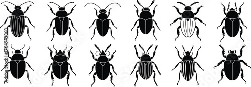 A scientific collection of various beetle silhouettes, including different insect species, representing entomology, nature, and the animal kingdom on white.