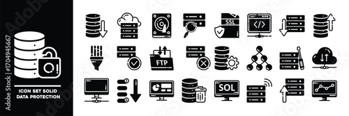 Set of Solid Style Icons Depicting Data Protection.