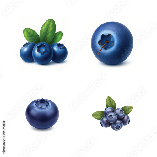 "Close-Up of Blueberries and Leaves – Natural Food Icon"
