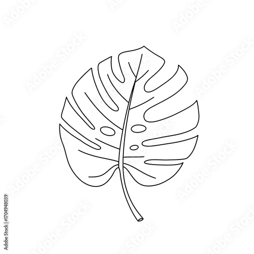 Simple line drawing of a monstera leaf, showcasing its distinctive pattern.