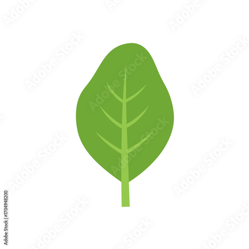 A simple illustration of a green spinach leaf, showcasing its shape and veins.