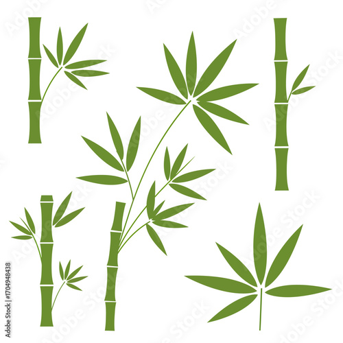 Green Bamboo Collection Vector Illustration of Bamboo stalks and leaves