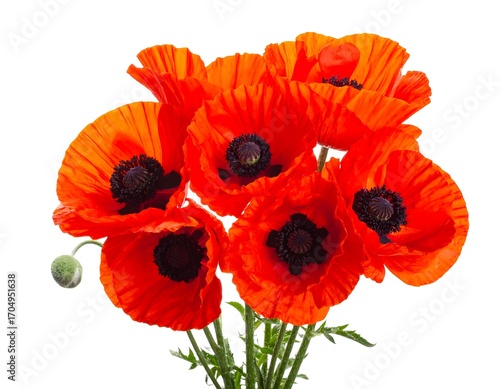 Vibrant poppy bouquet