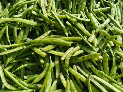 selective image of guar or cluster bean in dish also known in india as guwar, guar bean or cluster bean with the botanical name Cyamopsis tetragonoloba. Close up 