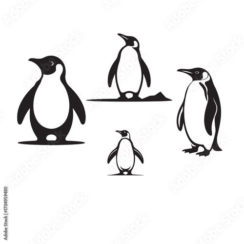 penguin on a white background