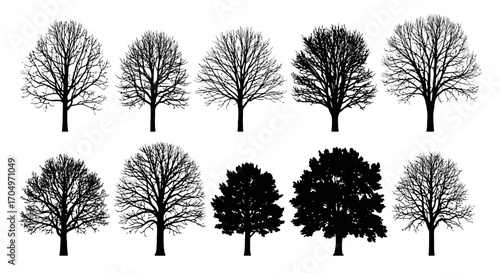 Silhouette Tree Collection Featuring Various Species and Growth Stages, Ideal for Landscape Design, Ecological Illustration, and Nature Education Projects.