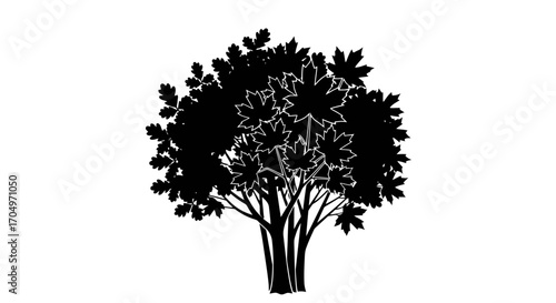 Striking Silhouette of a Maple Tree, Ideal for Enhancing Graphic Designs and Nature-Themed Projects Requiring a Distinct and Elegant Visual Element