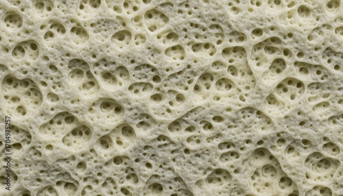 Bacterial-Cellulose Biofilm Sheet (Eco Material)