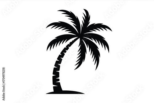 A silhouette of a palm tree with a curved trunk and fronds on a white background in vector format