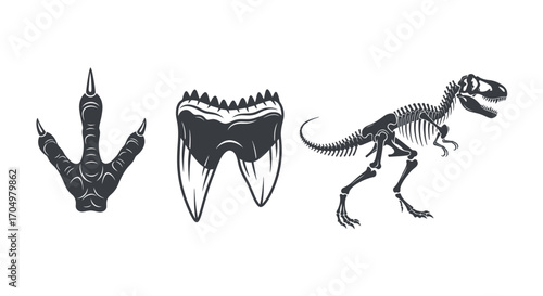 Dinosaur Footprint Tooth and Skeleton Monochrome Illustrations.