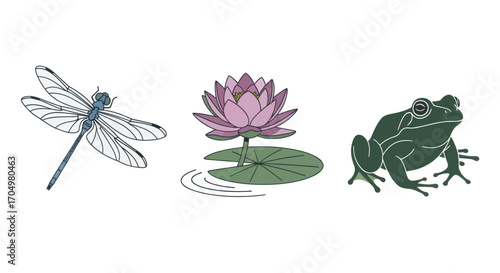 Waterside Creatures: Dragonfly Frog and Lotus.