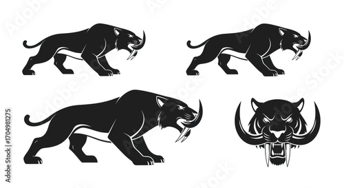 Set of Black Saber Toothed Tiger Vector Graphics.