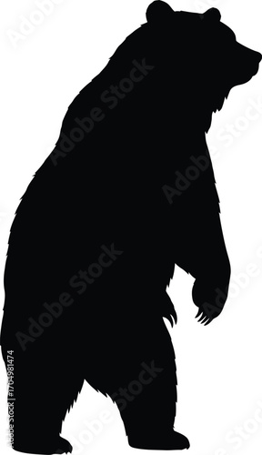 Silhouette of a Standing Grizzly Bear Facing Right Side	