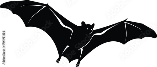 Silhouette of a Flying Bat Silhouette with Spread Wings Against a White Background	