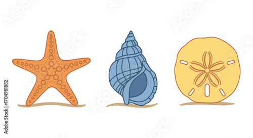 Seashells and Starfish on a Beach.